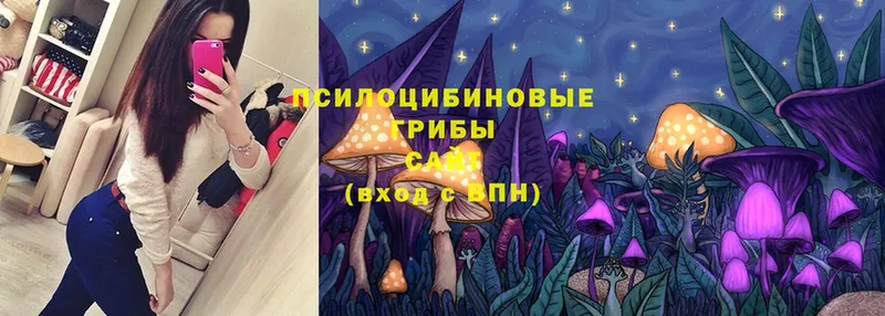 Псилоцибиновые грибы Cubensis  кракен   Алдан 